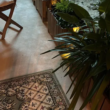 Lejlighed Luxury Praia de Mira